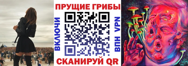 Купить закладки  Боготол  Галлюциногенные грибы ЛСД 