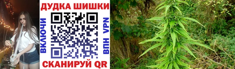 МАРИХУАНА OG Kush Боготол